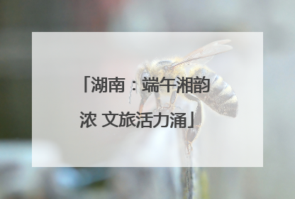 湖南：端午湘韵浓 文旅活力涌
