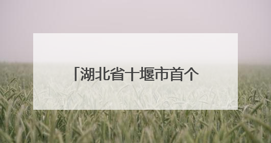 湖北省十堰市首个绿松石知识产权保护工作站硬核保护“竹山绿松石”