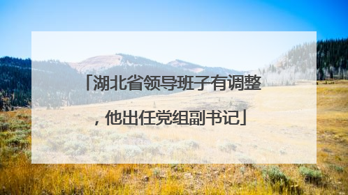 湖北省领导班子有调整，他出任党组副书记