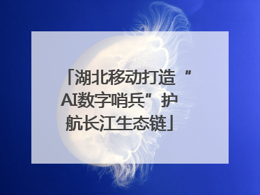 湖北移动打造“AI数字哨兵”护航长江生态链