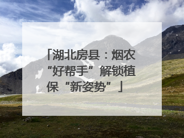 湖北房县：烟农“好帮手”解锁植保“新姿势”