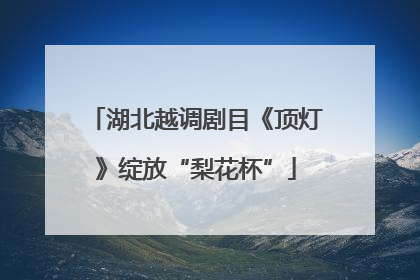 湖北越调剧目《顶灯》绽放“梨花杯”