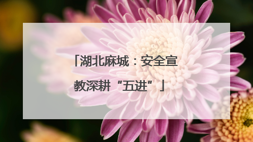 湖北麻城：安全宣教深耕“五进”