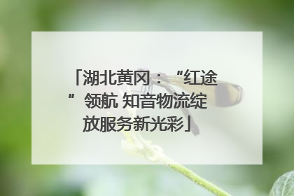湖北黄冈：“红途”领航 知音物流绽放服务新光彩