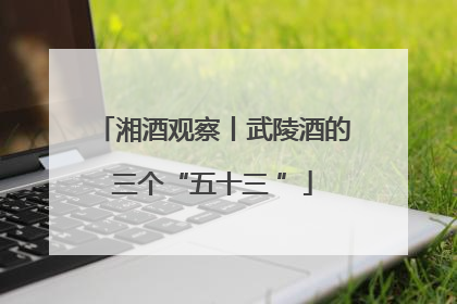湘酒观察丨武陵酒的三个“五十三 ”