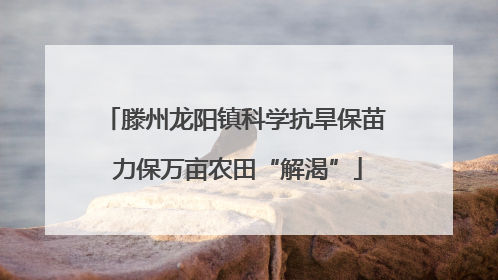 滕州龙阳镇科学抗旱保苗 力保万亩农田“解渴”