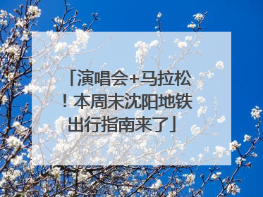 演唱会+马拉松！本周末沈阳地铁出行指南来了