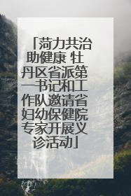 菏力共治助健康 牡丹区省派第一书记和工作队邀请省妇幼保健院专家开展义诊活动