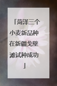 菏泽三个小麦新品种在新疆戈壁滩试种成功