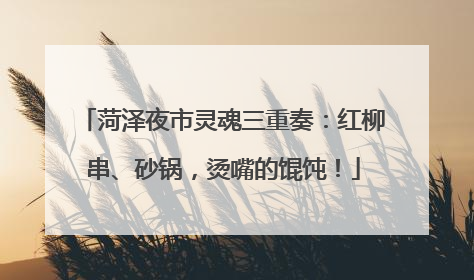 菏泽夜市灵魂三重奏：红柳串、砂锅，烫嘴的馄饨！