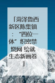 菏泽鲁西新区陈集镇：“四位一体”织密禁烧网 绘就生态新画卷