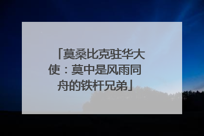 莫桑比克驻华大使：莫中是风雨同舟的铁杆兄弟