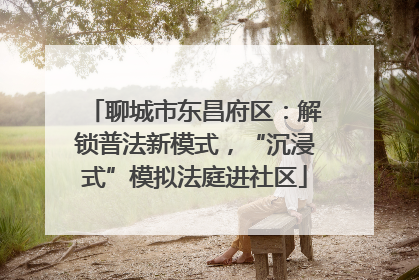 聊城市东昌府区：解锁普法新模式，“沉浸式”模拟法庭进社区