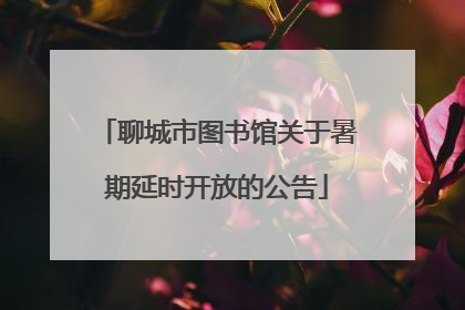 聊城市图书馆关于暑期延时开放的公告