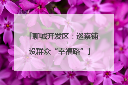 聊城开发区：巡察铺设群众“幸福路”