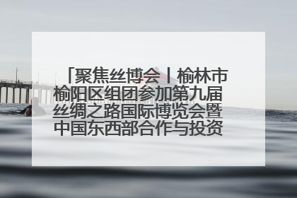 聚焦丝博会丨榆林市榆阳区组团参加第九届丝绸之路国际博览会暨中国东西部合作与投资贸易洽谈会
