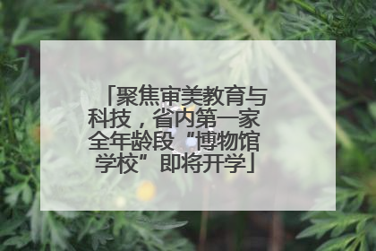 聚焦审美教育与科技，省内第一家全年龄段“博物馆学校”即将开学