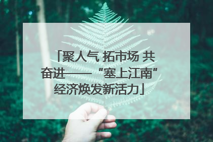 聚人气 拓市场 共奋进——“塞上江南”经济焕发新活力
