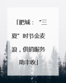 肥城：“三夏”时节金麦浪，供销服务助丰收