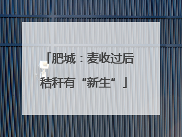肥城：麦收过后秸秆有“新生”