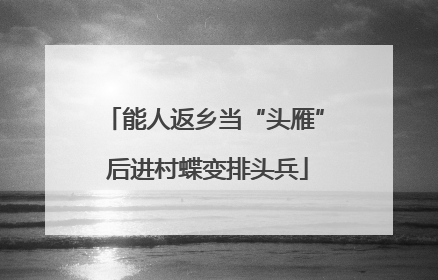 能人返乡当“头雁” 后进村蝶变排头兵