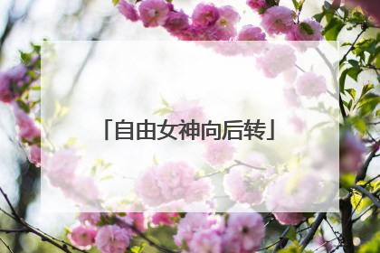自由女神向后转