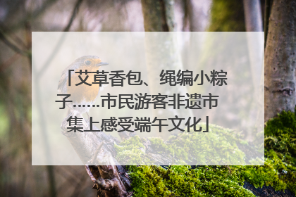 艾草香包、绳编小粽子……市民游客非遗市集上感受端午文化