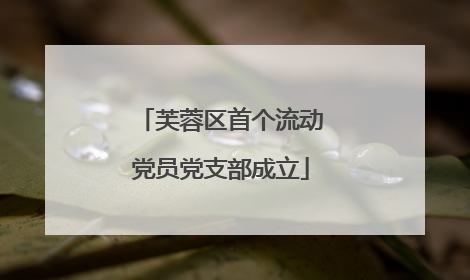 芙蓉区首个流动党员党支部成立