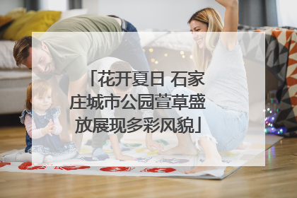 花开夏日 石家庄城市公园萱草盛放展现多彩风貌