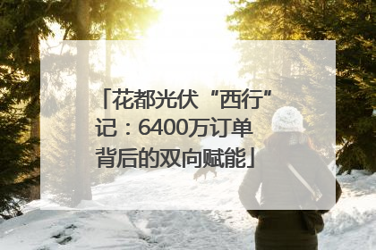花都光伏“西行”记：6400万订单背后的双向赋能