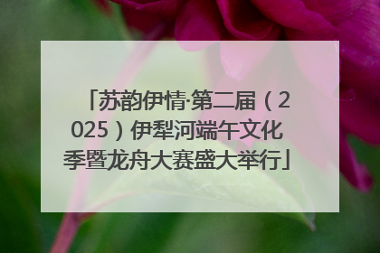 苏韵伊情·第二届（2025）伊犁河端午文化季暨龙舟大赛盛大举行