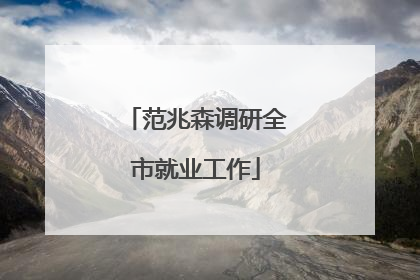 范兆森调研全市就业工作