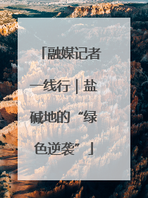 融媒记者一线行｜盐碱地的“绿色逆袭”