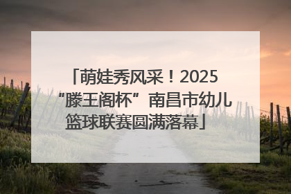 萌娃秀风采！2025“滕王阁杯”南昌市幼儿篮球联赛圆满落幕