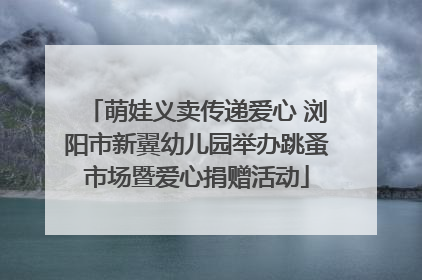 萌娃义卖传递爱心 浏阳市新翼幼儿园举办跳蚤市场暨爱心捐赠活动
