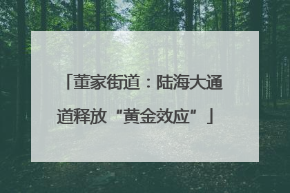 董家街道：陆海大通道释放“黄金效应”