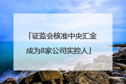 证监会核准中央汇金成为8家公司实控人