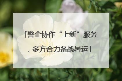 警企协作“上新”服务，多方合力备战暑运