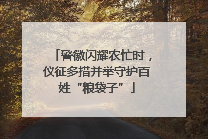 警徽闪耀农忙时，仪征多措并举守护百姓“粮袋子”