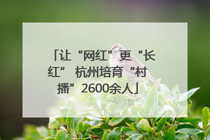 让“网红”更“长红” 杭州培育“村播”2600余人