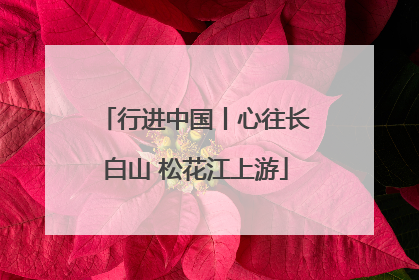 行进中国丨心往长白山 松花江上游