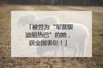 被誉为“军营版迪丽热巴”的她，获全国表彰！