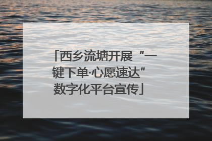 西乡流塘开展“一键下单·心愿速达”数字化平台宣传