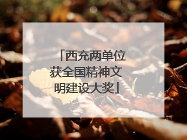 西充两单位获全国精神文明建设大奖