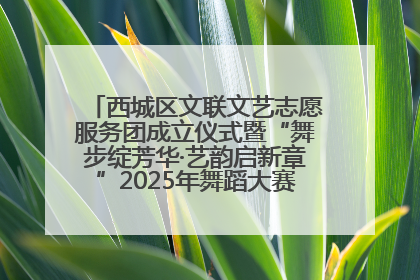 西城区文联文艺志愿服务团成立仪式暨“舞步绽芳华·艺韵启新章”2025年舞蹈大赛展演圆满举办