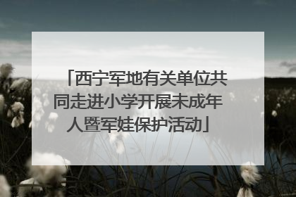 西宁军地有关单位共同走进小学开展未成年人暨军娃保护活动