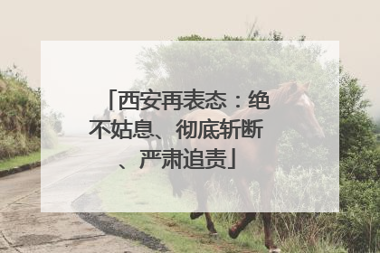 西安再表态：绝不姑息、彻底斩断、严肃追责