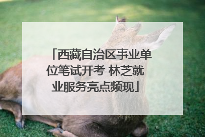 西藏自治区事业单位笔试开考 林芝就业服务亮点频现