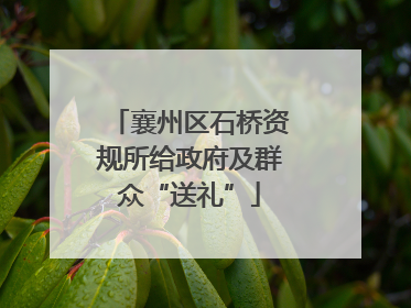 襄州区石桥资规所给政府及群众“送礼”
