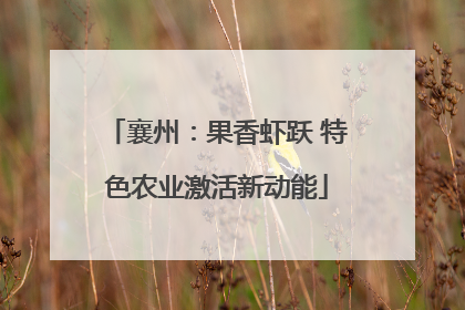 襄州：果香虾跃 特色农业激活新动能